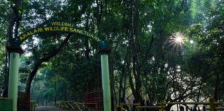 ആറളം ഫാമിലെ ആനമതിൽ; വനംവകുപ്പ് നിലപാട് തിരുത്തണമെന്ന് എംവി ജയരാജൻ Elephant Wall at Aralam Farm; MV Jayarajan wants the forest department to change its stance