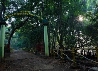 Elephant Wall at Aralam Farm; MV Jayarajan wants the forest department to change its stance