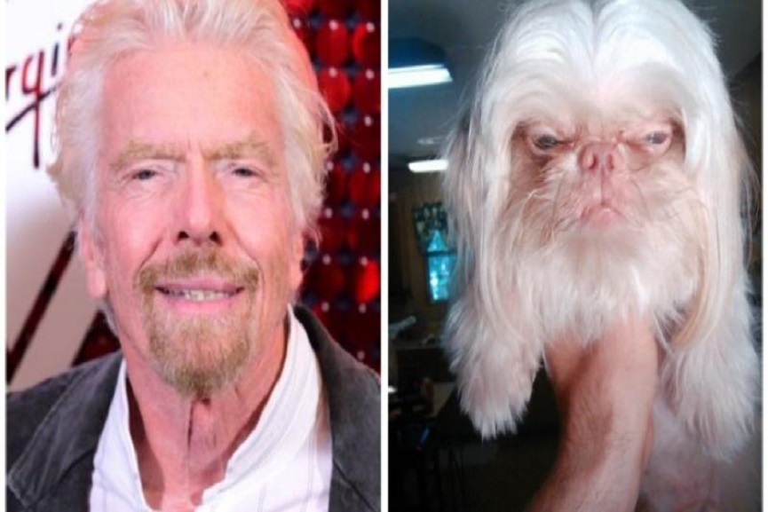 Dog With An Eerily Human Face viral photo