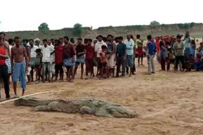 crocodile-attack A 7-year-old boy was swallowed by a crocodile in Madhya Pradesh