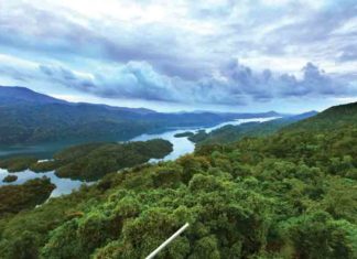 The protected area decision will be reviewed; The government will file a petition in the Supreme Court