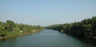 widespread rain; Warning for those on the banks of the Kuttyadi river