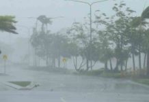Heavy Rain Alert