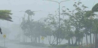 Heavy Rain Alert