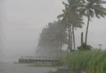 കനത്ത മഴ; അഞ്ച് ജില്ലകളിലെ വിദ്യാഭ്യാസ സ്ഥാപനങ്ങൾക്ക് നാളെ അവധി heavy rain