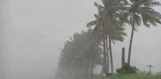 കനത്ത മഴ; അഞ്ച് ജില്ലകളിലെ വിദ്യാഭ്യാസ സ്ഥാപനങ്ങൾക്ക് നാളെ അവധി heavy rain