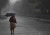 ഇന്നും തീവ്ര മഴ, ഇടിമിന്നലിനും സാധ്യത; മൂന്ന് ജില്ലകളിൽ റെഡ് അലർട് Rain