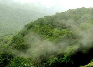 Kasthurirangan draft notification period extended