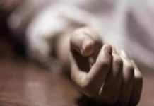 Youth Died In Kozhikode Due To Coconut Tree Falls On Bike