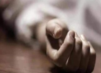 Youth Died In Kozhikode Due To Coconut Tree Falls On Bike