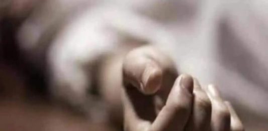Youth Died In Kozhikode Due To Coconut Tree Falls On Bike