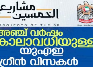 യുഎഇ ഗ്രീൻവിസക്ക് അപേക്ഷിക്കാം; സ്പോണ്സറോ ഉടമയോ ആവശ്യമില്ല UAE Green Visa can be applied from 5; No sponsor or owner required