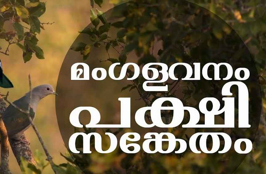 Supreme Court's Buffer Zone Order; It will affect the Kochi City