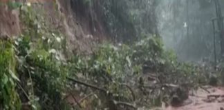 4th grader was stranded in the forest for two hours