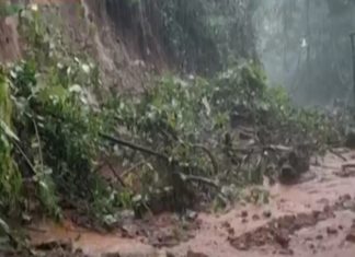 4th grader was stranded in the forest for two hours