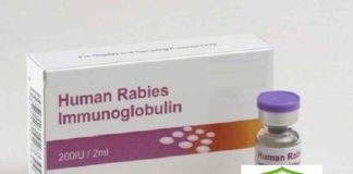 Central Lab says that the immunoglobulin is standardized