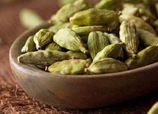 fashion and lifestyle