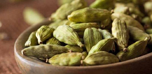 fashion and lifestyle