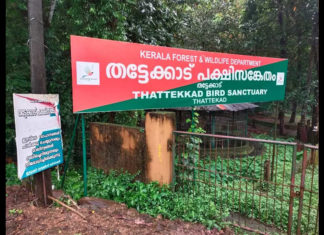 തട്ടേക്കാട്, പമ്പാവാലി, ഏഞ്ചൽവാലി പ്രദേശങ്ങളെ വന്യജീവി സങ്കേതങ്ങളിൽ നിന്നും ഒഴിവാക്കും wildlife sanctuaries