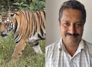 Farmer dies in tiger attack; UDF hartal tomorrow in Thondarnad Panchayat