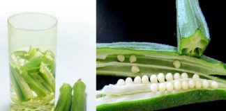 വെണ്ടയ്ക്ക ഇട്ടുവെച്ച വെള്ളം പതിവായി കുടിക്കൂ; ഗുണങ്ങൾ ഏറെയാണ് fashion and lifestyle