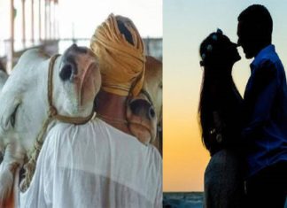 ‘പശു ആലിംഗന ദിനം’; അപ്പീൽ പിൻവലിച്ച് കേന്ദ്രം cow hug day controversy