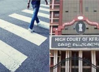 Accident at Zebraline; High Court says the driver should take responsibility