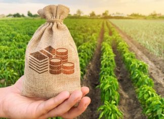 major plantation tax in kerala