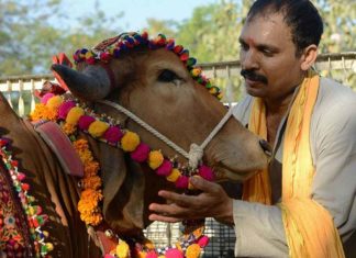 പ്രണയ ദിനം ഇനിമുതൽ ‘പശു ആലിംഗന ദിനം’; ആചരിക്കാൻ നിവേദനമിറക്കി കേന്ദ്രം Valentine's day henceforth 'Cow Hugging Day'_ The Center issued an order