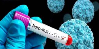 noro virus in wayanad