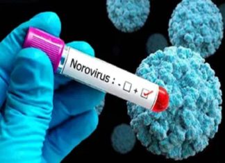 noro virus in wayanad