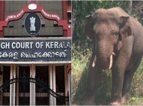 ഓപ്പറേഷൻ അരിക്കൊമ്പൻ; ഹരജി ഇന്ന് ഹൈക്കോടതി പരിഗണിക്കും Operation Arikomban