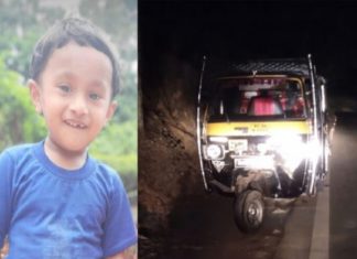 The wild boar jumped across and overturned the auto; A tragic end for a four-and-a-half-year-old boy