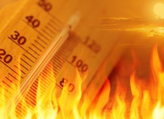 വേനൽ ചൂടിനൊപ്പം കാട്ടുതീയും; ചുട്ടുപൊള്ളി പാലക്കാട് Wildfires accompany summer heat; high tempereture in Palakkad