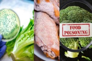 Pesticides and toxic substances; Malayali's food is all poison - report