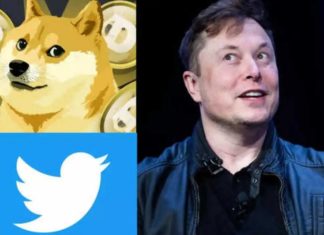 ട്വിറ്റർ ലോഗോ മാറ്റി ഇലോൺ മസ്ക്; ബ്ളൂ ബേർഡിന് പകരം ‘മീം നായ’ twitter new logo