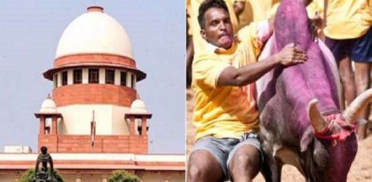 ജെല്ലിക്കെട്ടിന് അനുമതി; തമിഴ് സംസ്കാരത്തിന്റെ അവിഭാജ്യ ഘടകമെന്ന് സുപ്രീം കോടതി jallikettu