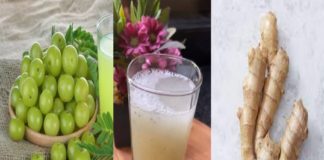 എപ്പോഴും ക്ഷീണമാണോ? മൂന്ന് ചേരുവ മതി- ജ്യൂസ് റെഡി, ക്ഷീണം അകറ്റാം amla and ginger juce
