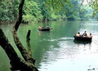 kuttavanchi accident