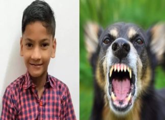 nihal