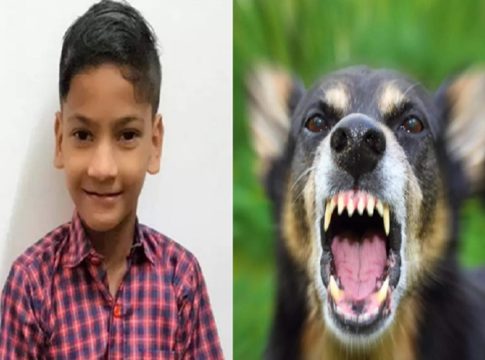 nihal