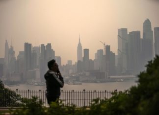 wild fire in Newyork