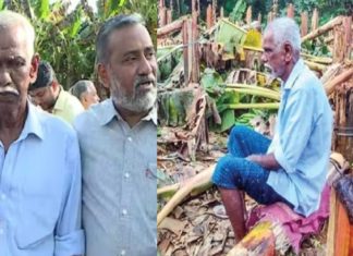 KSEB Banana tree Cutting Controversy