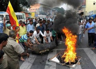 കാവേരി നദീജല തർക്കം; കർണാടകയിൽ വ്യാപക പ്രതിഷേധം- വിമാനങ്ങൾ റദ്ദാക്കി Cauvery water dispute