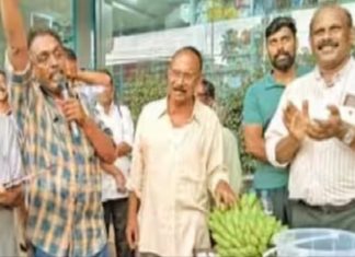 വാഴക്കുലയ്ക്ക് കിട്ടിയത് 60,250 രൂപ; വയോധികയ്ക്ക് വീട് പണിയാൻ നൽകും! k rail-banana sold