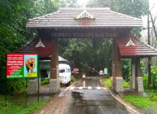 Wildlife Sanctuari