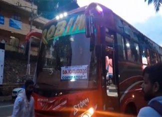 Robin Bus