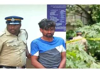 aluva murder
