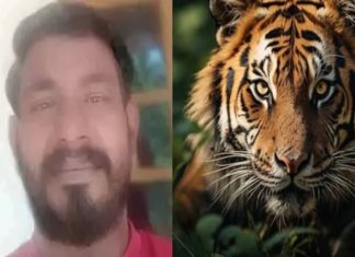 เดเดเตเดต เดเดเตเดฐเดฎเดฃเด; เดฌเดคเตเดคเตเดฐเดฟเดฏเดฟเตฝ เดเตเดฒเตเดฒเดชเตเดชเตเดเตเด เดชเตเดฐเดเตเดทเดฟเดจเตเดฑเต เดชเตเดธเตโเดฑเตเดฑเตเดฎเตเตผเดเตเดเด เดเดจเตเดจเต prajeesh