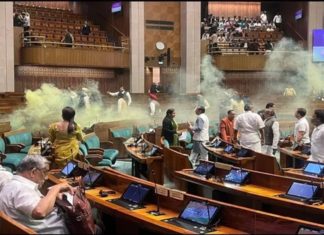 Massive security breach in Parliament